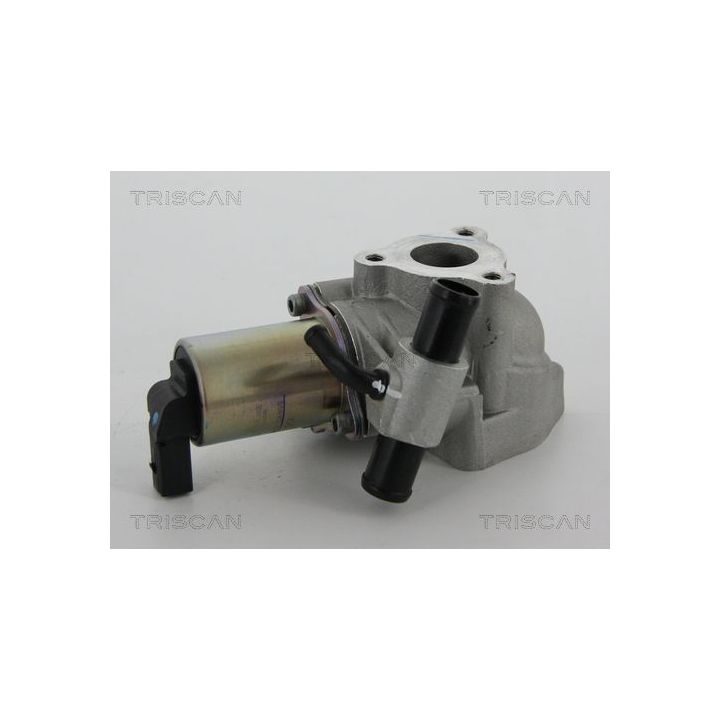 ERG vožtuvas TRISCAN 8813 43020