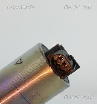 ERG vožtuvas TRISCAN 8813 43020