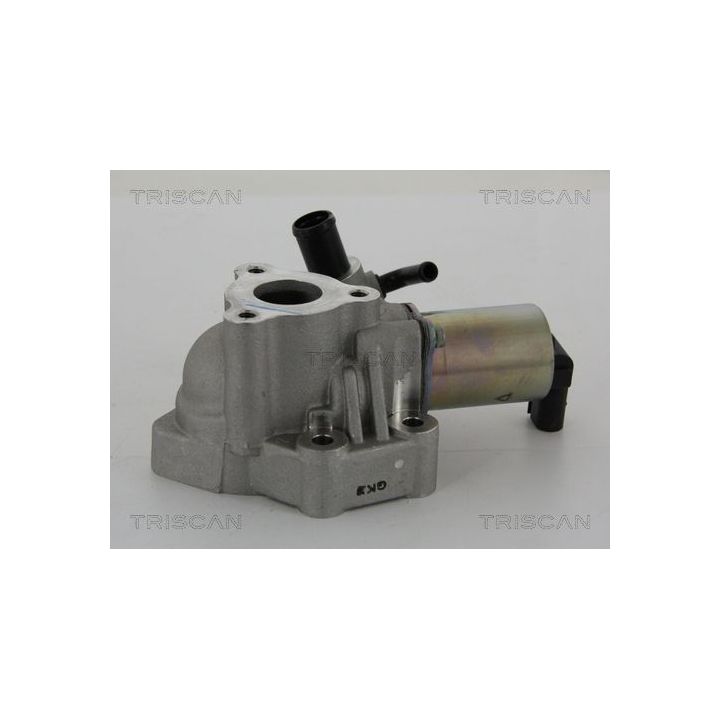 ERG vožtuvas TRISCAN 8813 43020