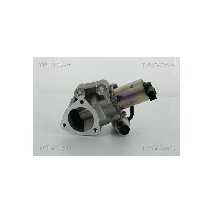 ERG vožtuvas TRISCAN 8813 43020