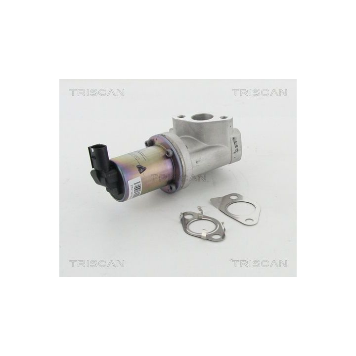 ERG vožtuvas TRISCAN 8813 43021