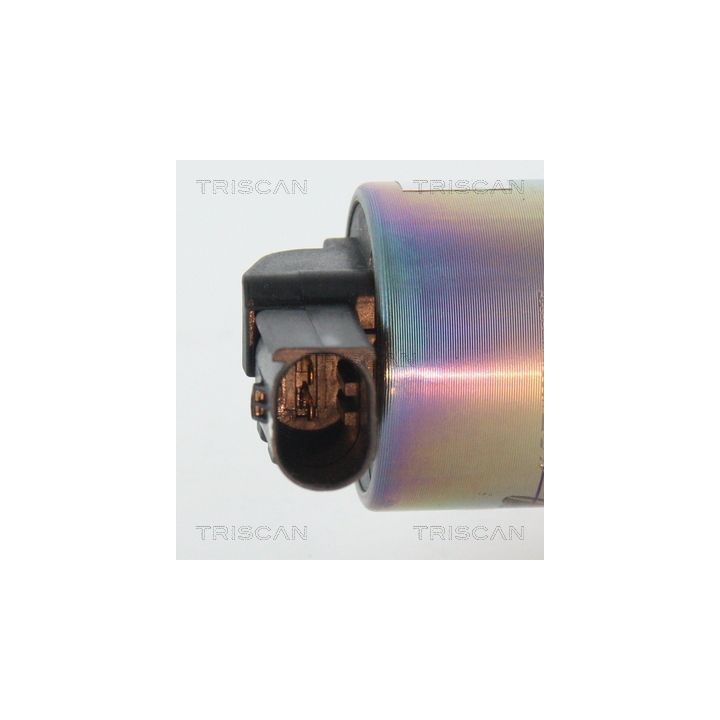 ERG vožtuvas TRISCAN 8813 43021