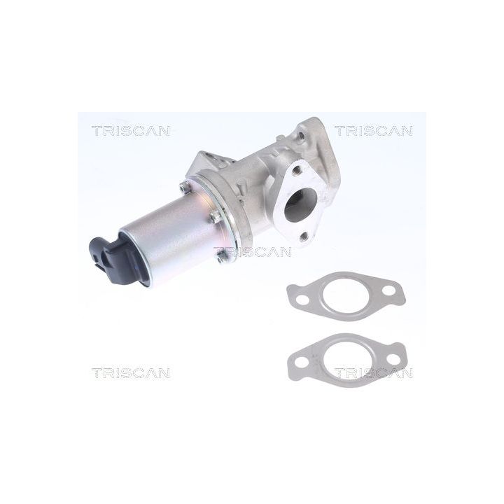 ERG vožtuvas TRISCAN 8813 43024