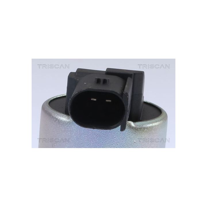 ERG vožtuvas TRISCAN 8813 43024