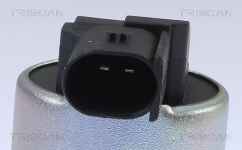 ERG vožtuvas TRISCAN 8813 43024