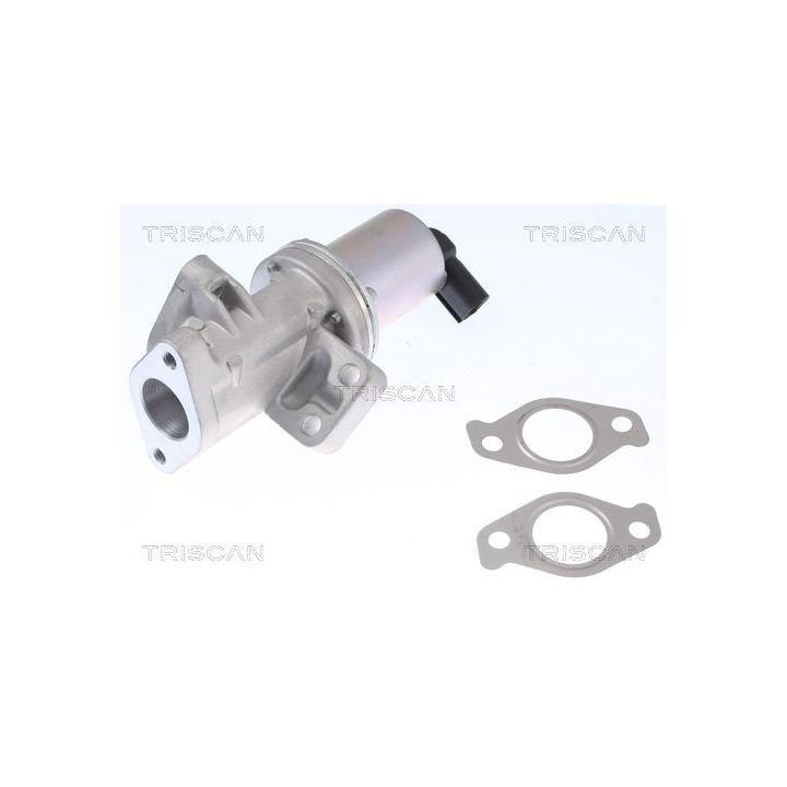 ERG vožtuvas TRISCAN 8813 43024