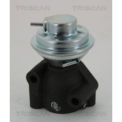 ERG vožtuvas TRISCAN 8813 43040