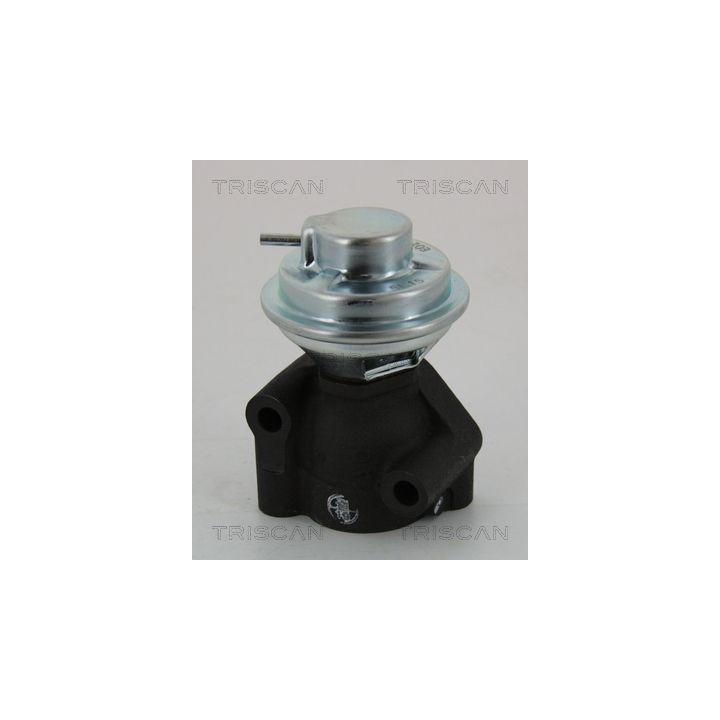 ERG vožtuvas TRISCAN 8813 43040