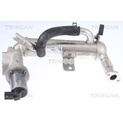 ERG vožtuvas TRISCAN 8813 43041