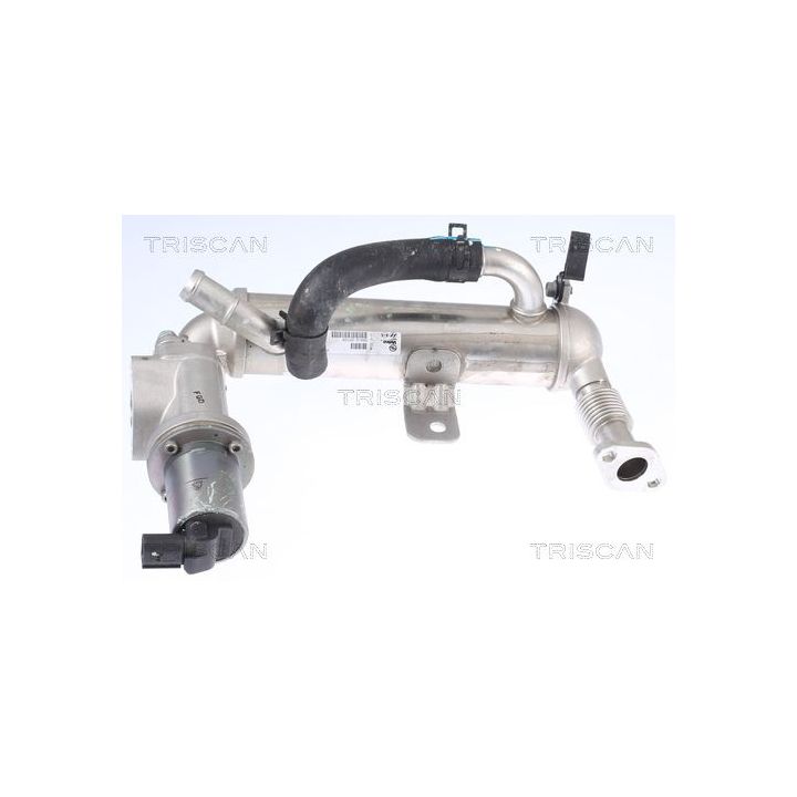 ERG vožtuvas TRISCAN 8813 43041