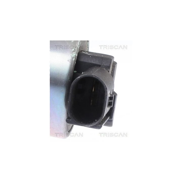 ERG vožtuvas TRISCAN 8813 43041