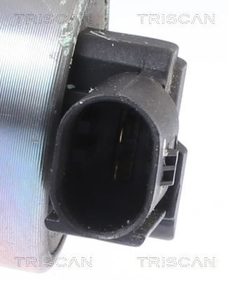 ERG vožtuvas TRISCAN 8813 43041