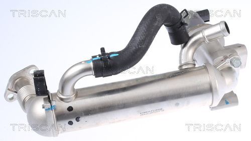 ERG vožtuvas TRISCAN 8813 43041