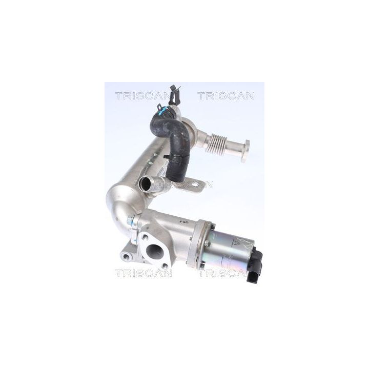 ERG vožtuvas TRISCAN 8813 43041