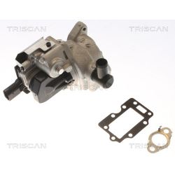 ERG vožtuvas TRISCAN 8813 43054