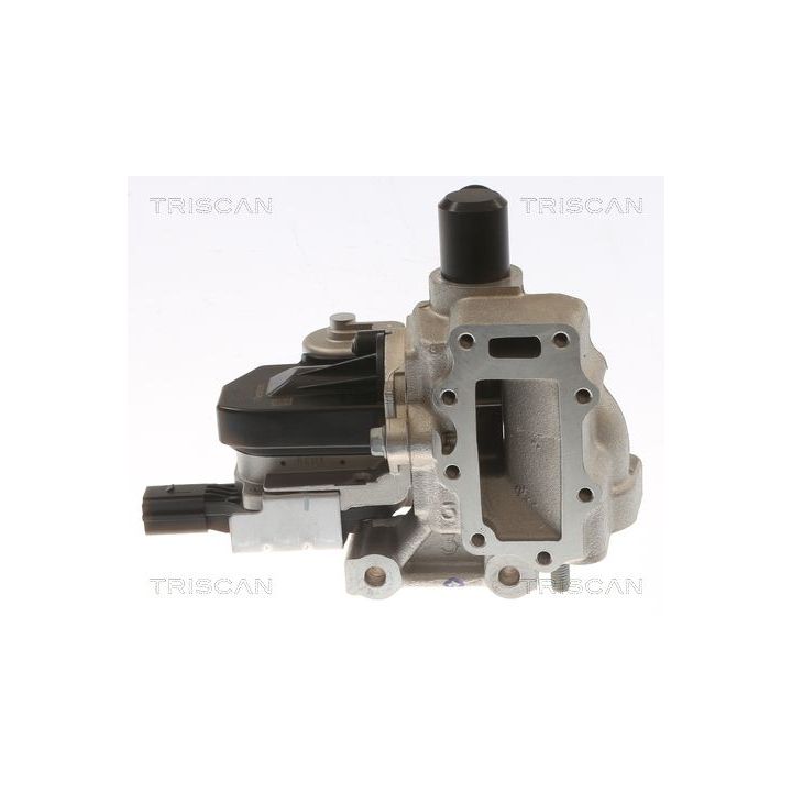 ERG vožtuvas TRISCAN 8813 43054