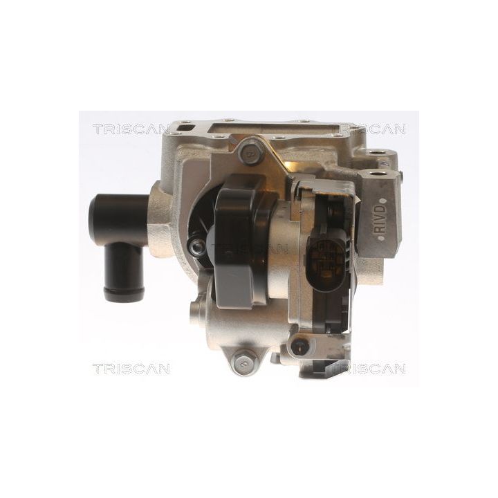 ERG vožtuvas TRISCAN 8813 43054