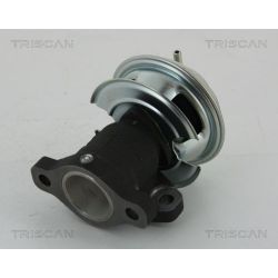 ERG vožtuvas TRISCAN 8813 43201