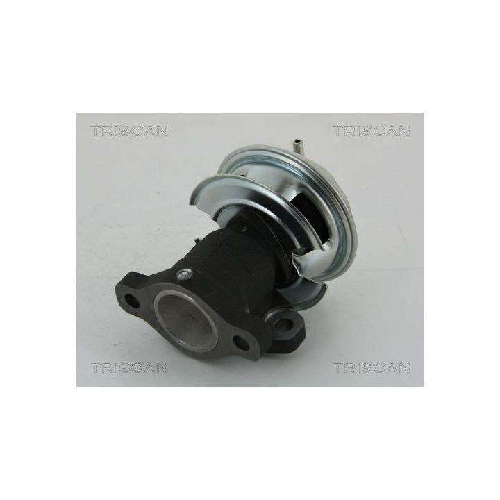 ERG vožtuvas TRISCAN 8813 43201