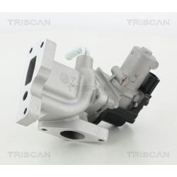 ERG vožtuvas TRISCAN 8813 44031