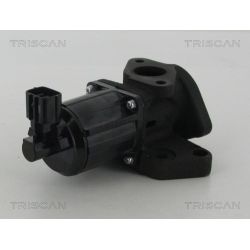 ERG vožtuvas TRISCAN 8813 50007
