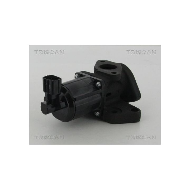 ERG vožtuvas TRISCAN 8813 50007