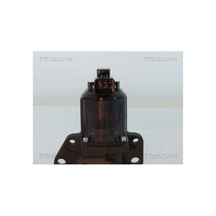 ERG vožtuvas TRISCAN 8813 50007