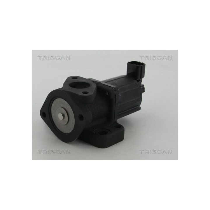 ERG vožtuvas TRISCAN 8813 50007