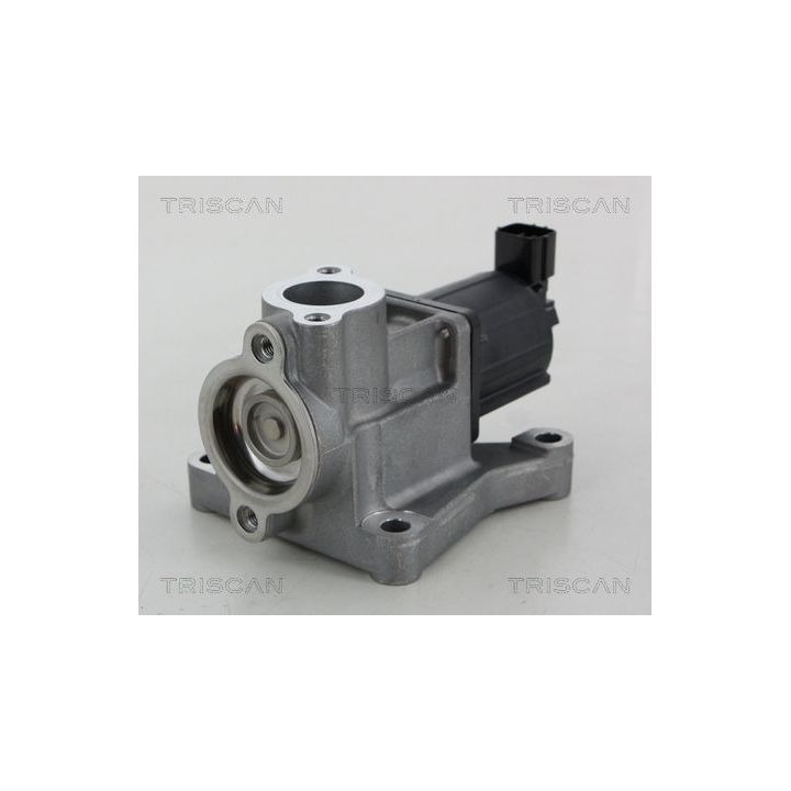 ERG vožtuvas TRISCAN 8813 50015