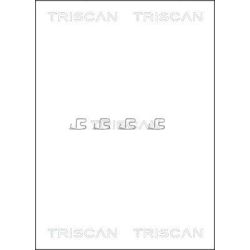 Priedų komplektas, diskinių stabdžių trinkelės TRISCAN 8105 101609