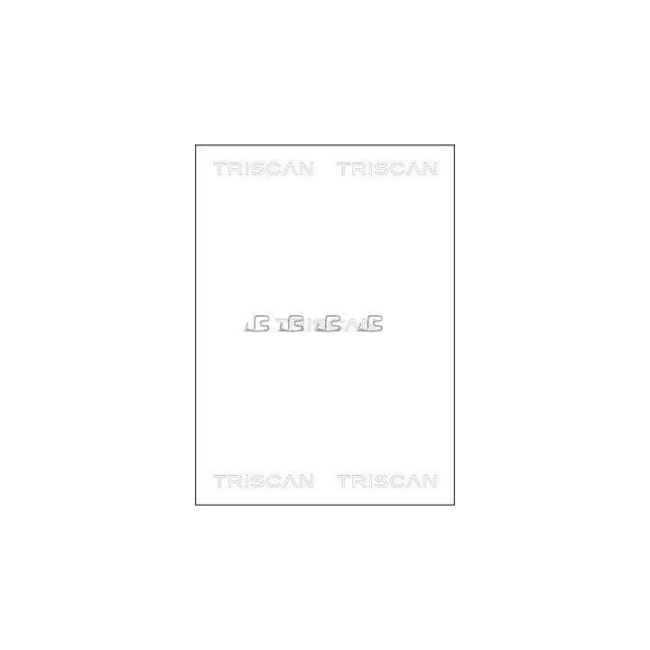 Priedų komplektas, diskinių stabdžių trinkelės TRISCAN 8105 101609