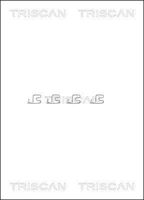 Priedų komplektas, diskinių stabdžių trinkelės TRISCAN 8105 101609