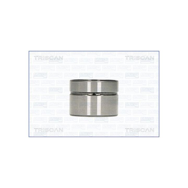 Svirtis/kumštelis TRISCAN 80-10002