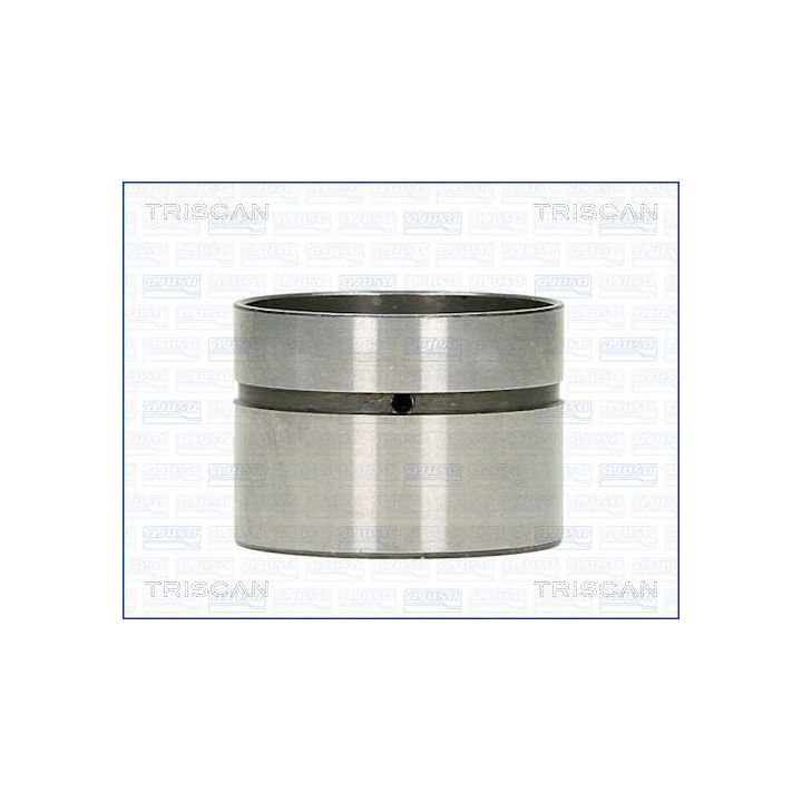 Svirtis/kumštelis TRISCAN 80-11000