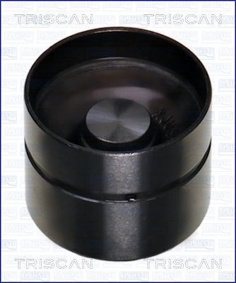 Svirtis/kumštelis TRISCAN 80-17000