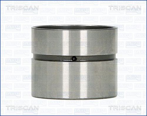 Svirtis/kumštelis TRISCAN 80-25003