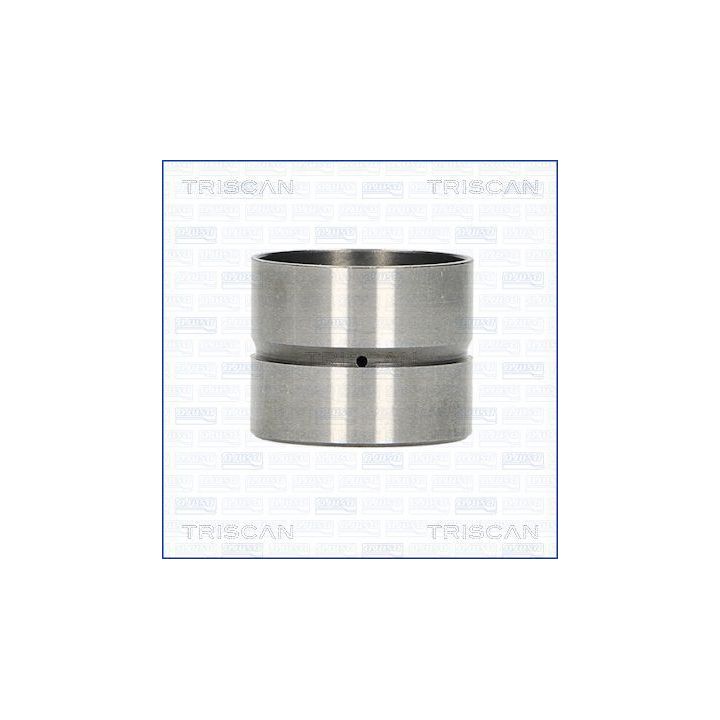 Svirtis/kumštelis TRISCAN 80-50001