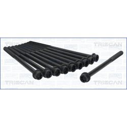 Varžtų kompl., cil. galvutės varžtai TRISCAN 98-1009