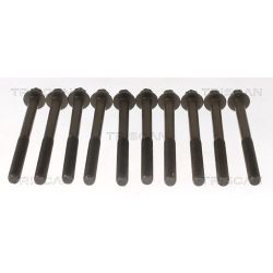 Varžtų kompl., cil. galvutės varžtai TRISCAN 98-1013