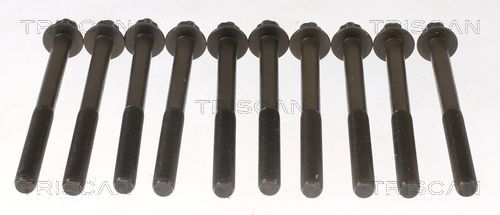 Varžtų kompl., cil. galvutės varžtai TRISCAN 98-1013