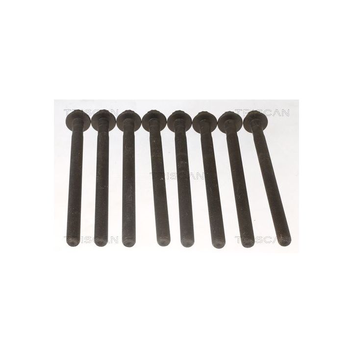 Varžtų kompl., cil. galvutės varžtai TRISCAN 98-1015