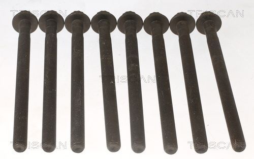 Varžtų kompl., cil. galvutės varžtai TRISCAN 98-1015