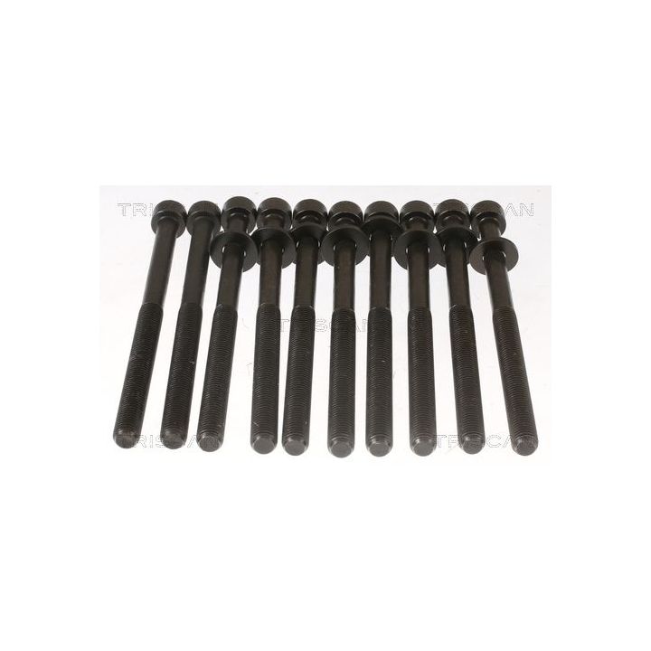 Varžtų kompl., cil. galvutės varžtai TRISCAN 98-1017