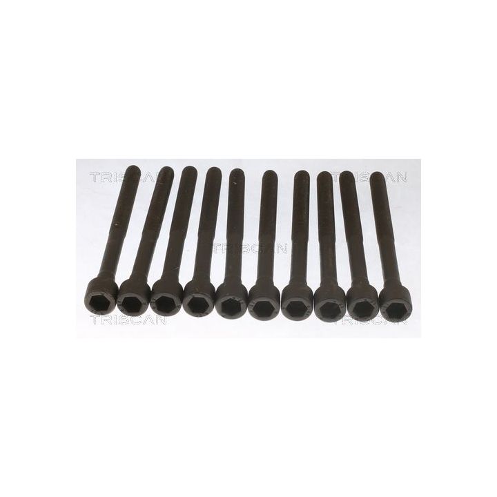 Varžtų kompl., cil. galvutės varžtai TRISCAN 98-1021