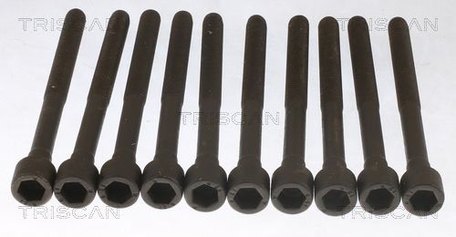 Varžtų kompl., cil. galvutės varžtai TRISCAN 98-1021