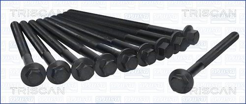 Varžtų kompl., cil. galvutės varžtai TRISCAN 98-1505