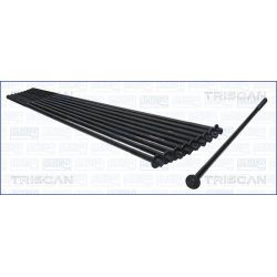 Varžtų kompl., cil. galvutės varžtai TRISCAN 98-1712