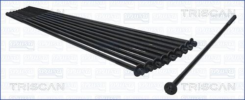 Varžtų kompl., cil. galvutės varžtai TRISCAN 98-1712