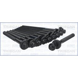 Varžtų kompl., cil. galvutės varžtai TRISCAN 98-1714
