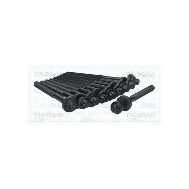 Varžtų kompl., cil. galvutės varžtai TRISCAN 98-1714